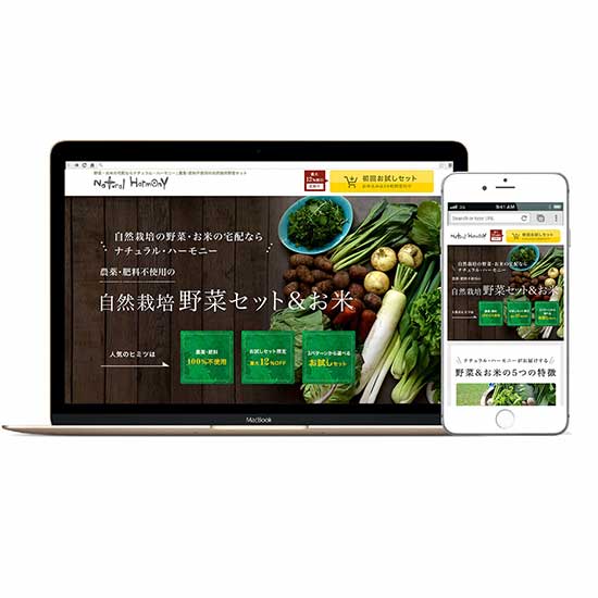 制作実績 ランディングページ