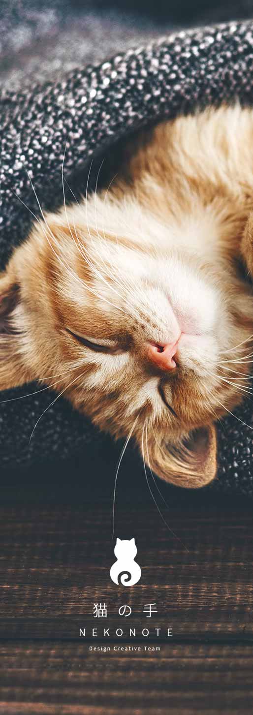 株式会社 猫の手