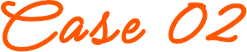 Case02