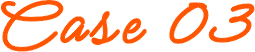Case03